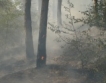Пожарът край Вакарел локализиран