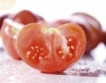 Томатина - на бой с домати