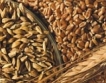 Разкриха измама с търговия на пшеница