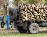 Задържаха 550 куб. м. незаконна дървесина