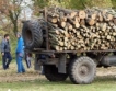 Задържаха 550 куб. м. незаконна дървесина