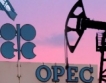 ОПЕК ↓ прогнозата си за търсенето на петрол 