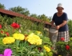 6 млн. лв. за социален живот на село