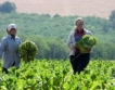 Бюджет 2012 за земеделие гарантиран