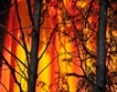 63% от пожарите поради човешка небрежност