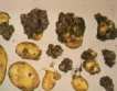 Мерки срещу рака по картофите