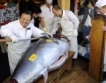 Япония: Риба тон за $736 000
