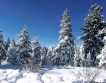 Българският турист ще доминира през зимния сезон  