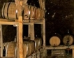 Евксиноград с вино от 1878 година