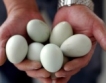 И в Сърбия недостиг на яйца