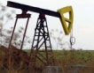Прекратени конкурси за нефт и газ