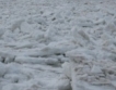 Дунав замръзна напълно