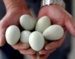 Браншът:Няма спекулация с  цените на яйцата