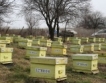 МЗХ: Субсидия за пчелни кошери 