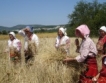 Фестивал на хляба в Източните Родопи