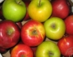 БАБХ сертифицира тонове ябълки