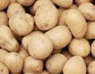 България върна 1000 тона полски картофи 