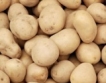 България върна 1000 тона полски картофи