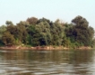 Няма разлив на нефт в р. Дунав