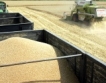 497 лв/тон фуражна пшеница
