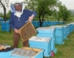 Изчерпан бюджет за мерки по пчеларство