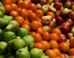 НСИ: Земеделска продукция за 8 656.6 млн. лв.