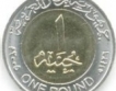Египетската лира падна още спрямо долара