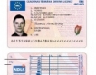 Ползи от новите шофьорски книжки в ЕС