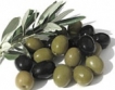 Кърджали ще отглежда маслини