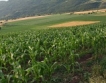 Румъния:Ограничения при земеделски земи