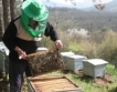 От 7 май прием по пчеларската програма