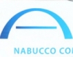 Окончателно решение Nabucco-West през юни