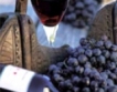 Китай затяга вноса на вино?