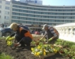 Финансиране за 78 „зелени” проекти на София