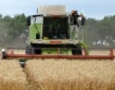 99% от пшеницата е прибрана