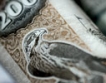 FT: Дубайски  компании връщат дългове предсрочно?