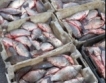 Рибата в Средиземно море намалява 