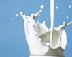 Т.нар. "Пакет за млякото", пазар и производители