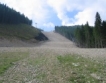 650 дка изсечени в Пирин заради ски зона