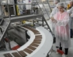 Фабриката в Своге =  1.1 млн. шоколада всеки ден 