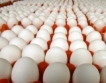 Яйцата по-скъпи с над 22%