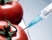 Очертават се 5 години мораториум върху ГМО