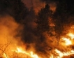 24 млн. лв. срещу горски пожари