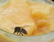 Публикувано е класирането по пчеларската програма 