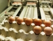 Цени на яйца в България & ЕС