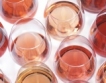 Розово бъдеще за розовите вина