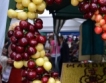 100 сорта череши в Кюстендил