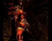 Пещера "Венеца" бе обновена по ОП 