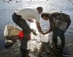 Пуснаха 20 000 есетрови чиги в Дунав край Лом