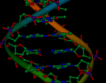 Нобел за откритието "възстановяване на ДНК"